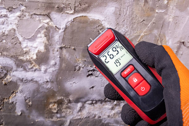 Best Mold Damage Repair  in Oglala, SD