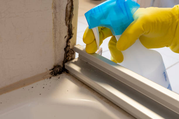 Best Mold Remediation  in Oglala, SD