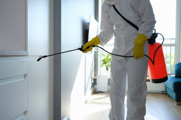 Best Emergency Mold Removal  in Oglala, SD