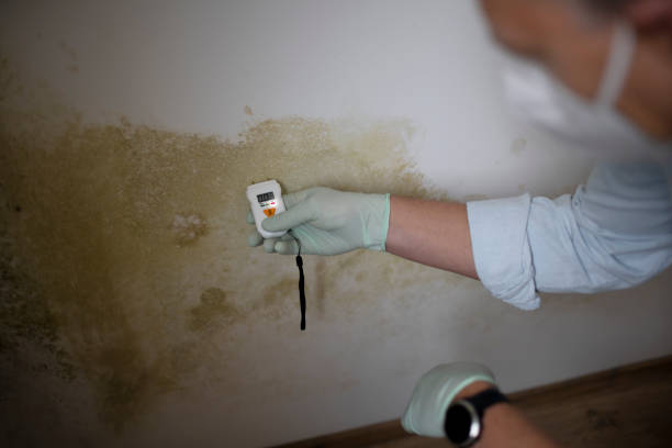 Best Mold Removal Specialists  in Oglala, SD