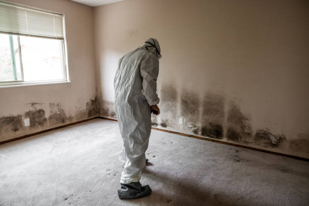 Best Toxic Mold Removal  in Oglala, SD