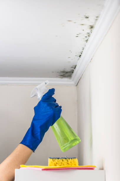 Best Residential Mold Removal  in Oglala, SD