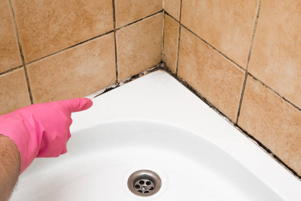 Best Mold Cleaning Services  in Oglala, SD